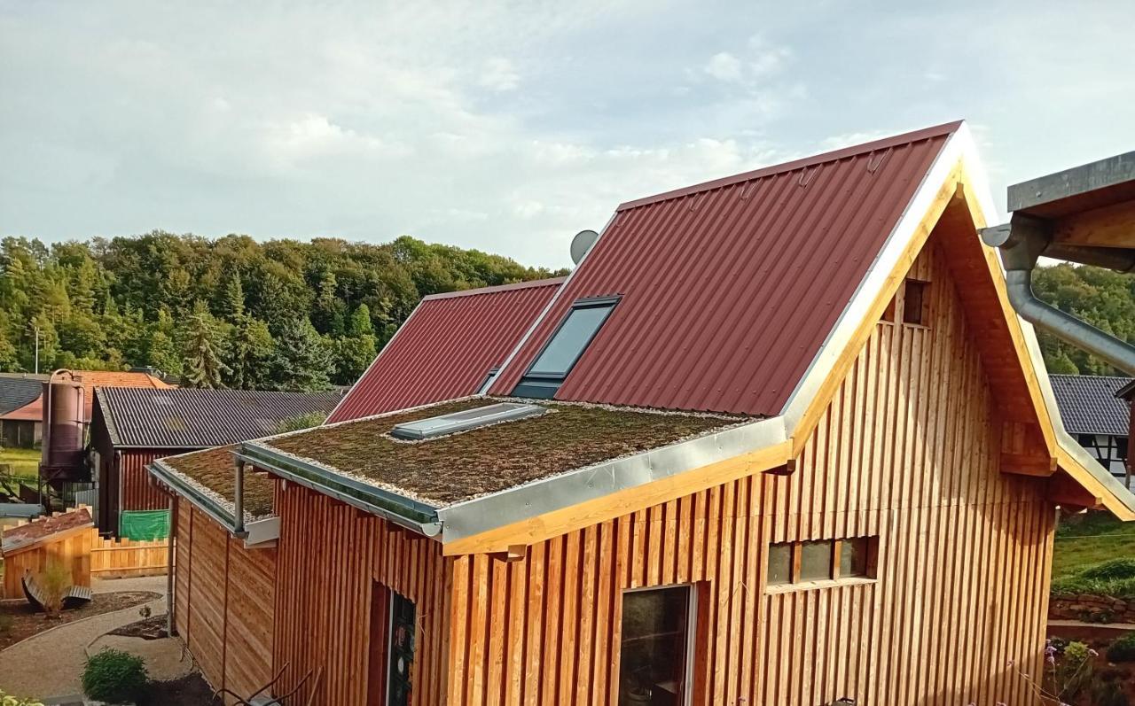 Ferienhaus Am Kuhstall バート・ミュンスターアイフェル エクステリア 写真